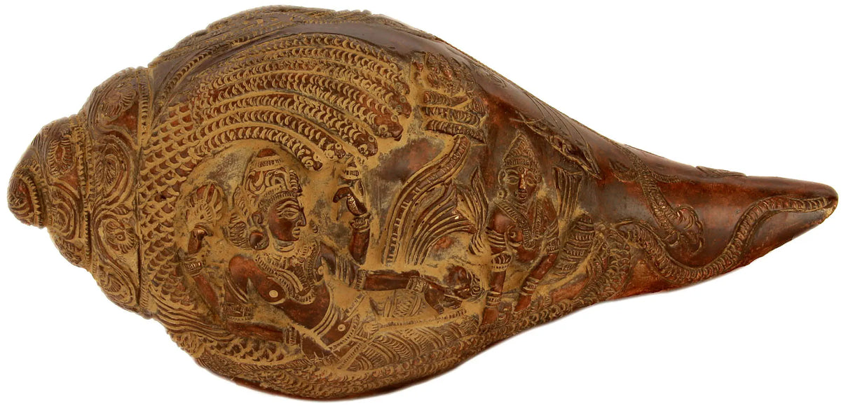 3" Sheshshayi Vishnu Conch in Brass | Handmade | Made in India
