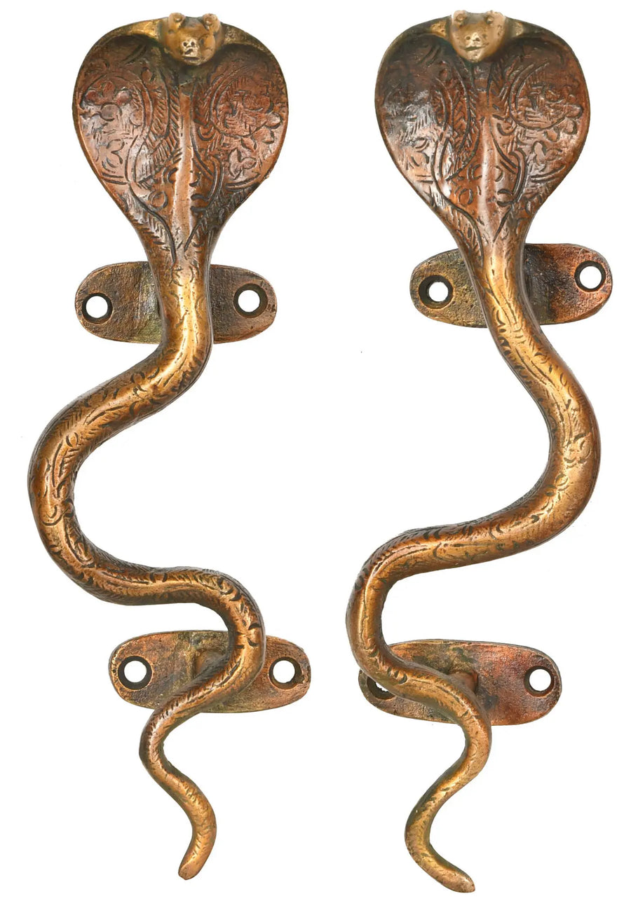 Snake Brass Door Handles Set