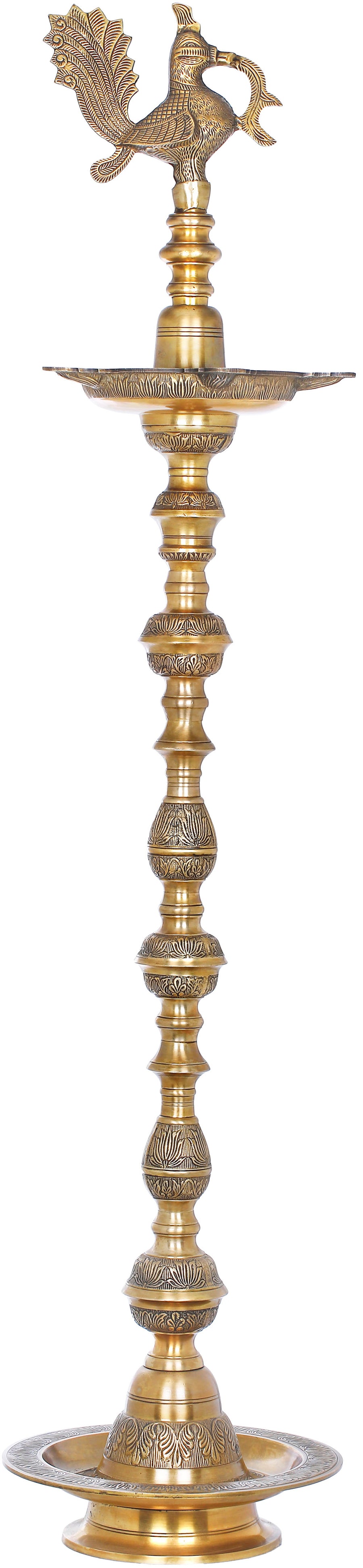 64" Large Brass Peacock Lamp Handmade Statue
