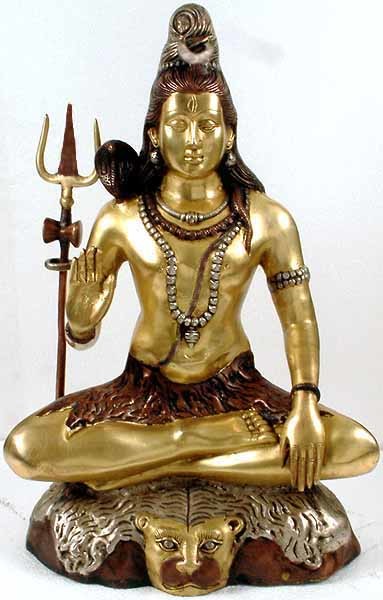22" Bhava Shiva Handmade Brass Statue for Pooja