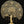 96" Super Large Wall Mounted Tree of Life with Perched Birds in Brass