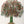 27" Wall Mount Tree of Life in Brass with Inlay Work
