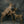 Playing Deer Family Brass