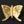 3" Small Brass Butterfly | Wall Decor