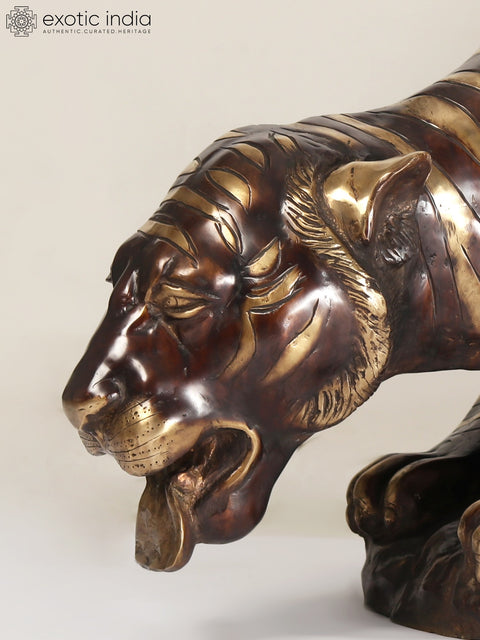 55" Large Brass Tiger Drinking Water | Home Decor | Animal Figurine