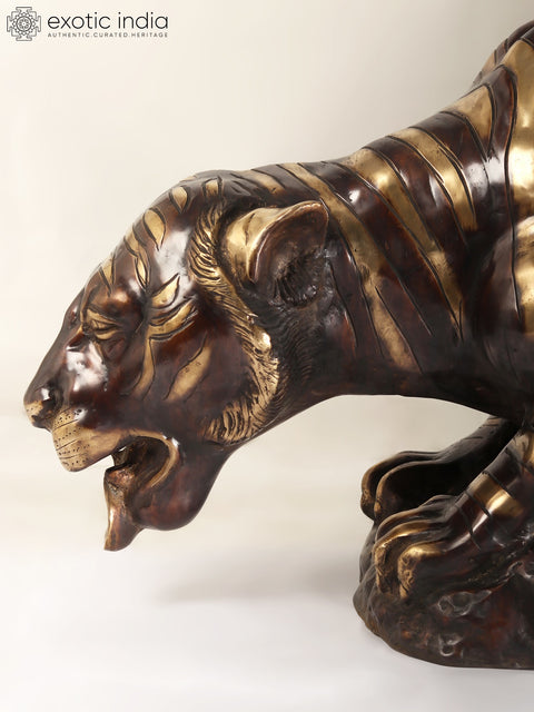 55" Large Brass Tiger Drinking Water | Home Decor | Animal Figurine