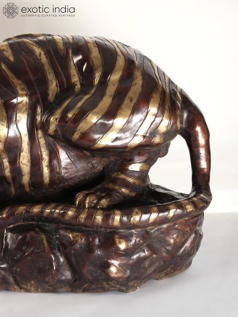 55" Large Brass Tiger Drinking Water | Home Decor | Animal Figurine