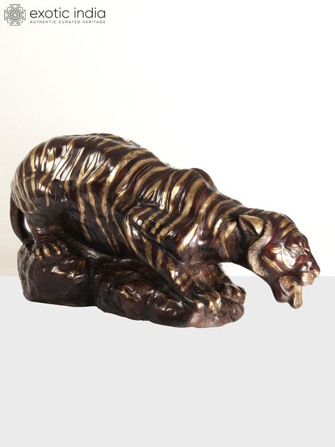 55" Large Brass Tiger Drinking Water | Home Decor | Animal Figurine