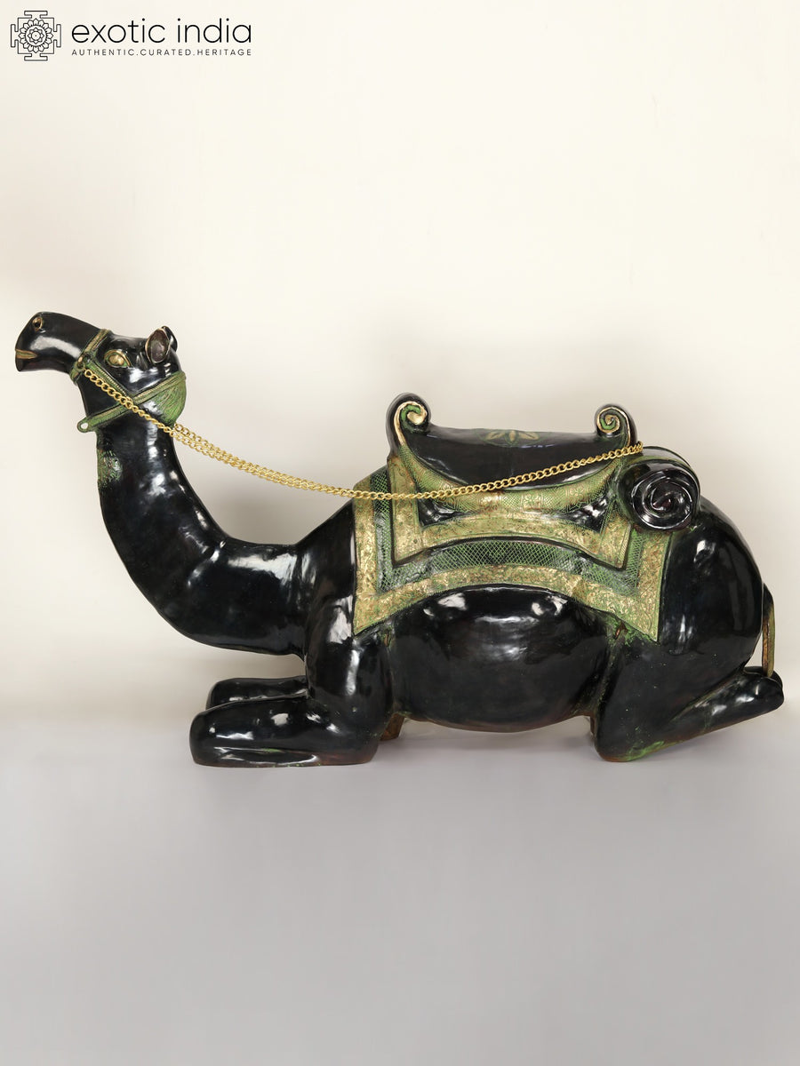 64" Large Sitting Camel Brass Statue with Black and Green Finish