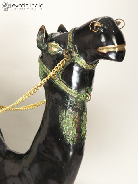 64" Large Black and Green Sitting Camel Figurine in Brass | Home Decor | Animal Statue