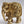 3" Small Brass Elephant | Home Decor
