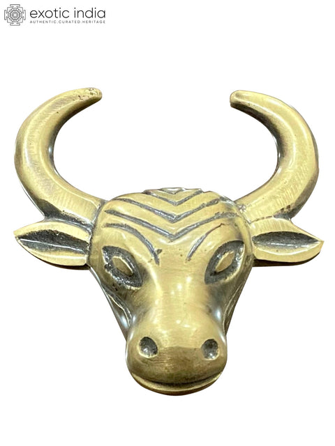 2" Brass Bull Head Door Knob