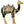52" Large Black and Golden Camel in Brass | Animal Figure