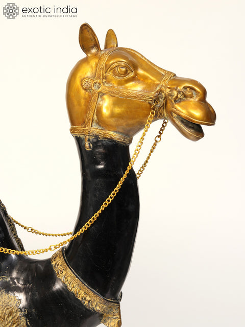 52" Large Black and Golden Camel in Brass | Animal Figure