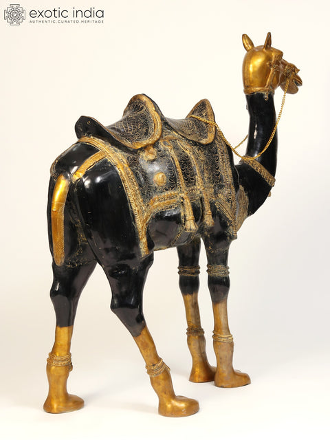 52" Large Black and Golden Camel in Brass | Animal Figure