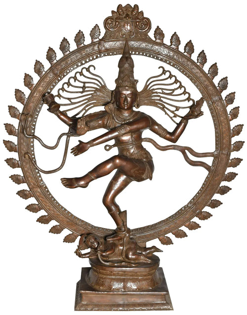 72" Black and Golden Nataraja Dancing Lord Shiva Brass Statue