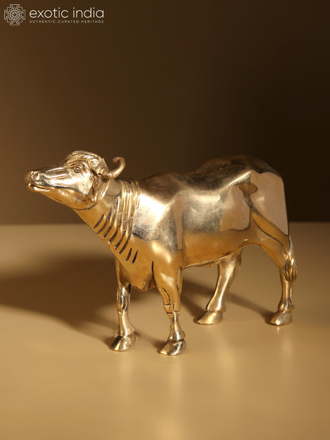 7" Buffalo Figurine Brass Statue | Home Decor