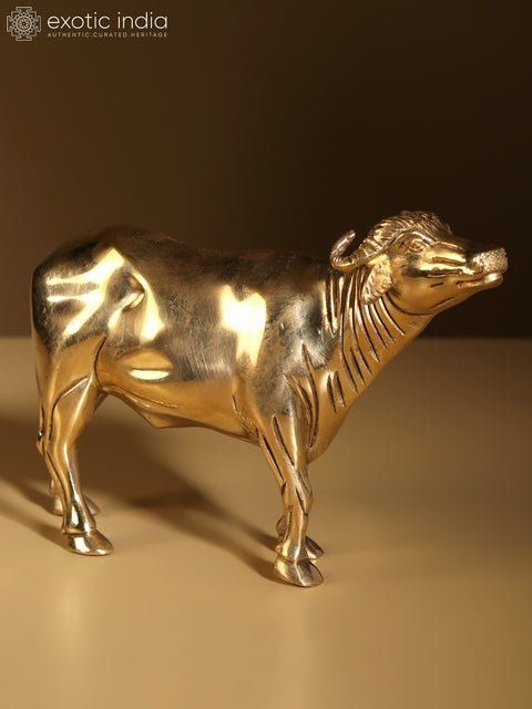 7" Buffalo Figurine Brass Statue | Home Decor