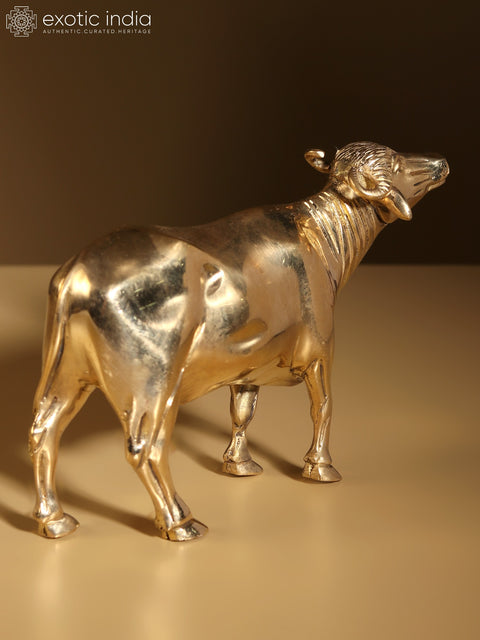 7" Buffalo Figurine Brass Statue | Home Decor