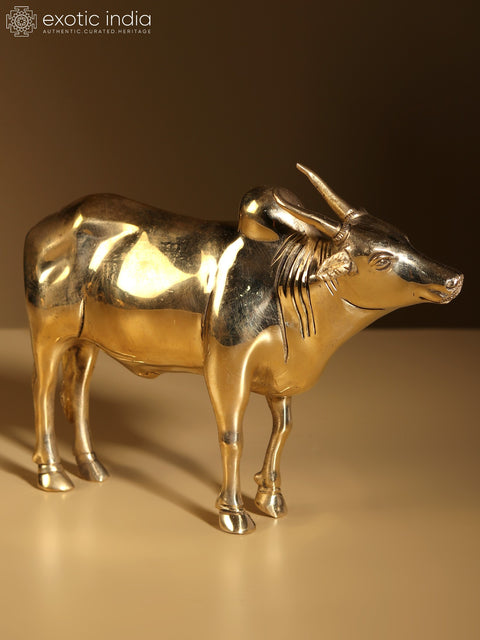 7" Brass Decorative Bull Statue | Home Decor
