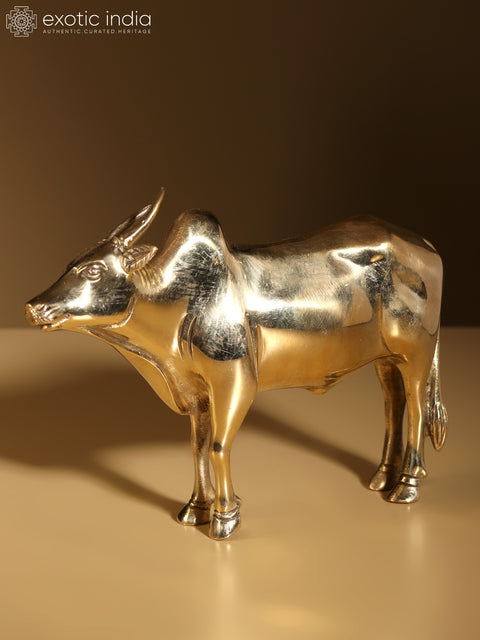7" Brass Decorative Bull Statue | Home Decor
