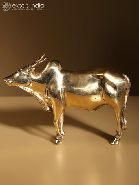 7" Brass Decorative Bull Statue | Home Decor