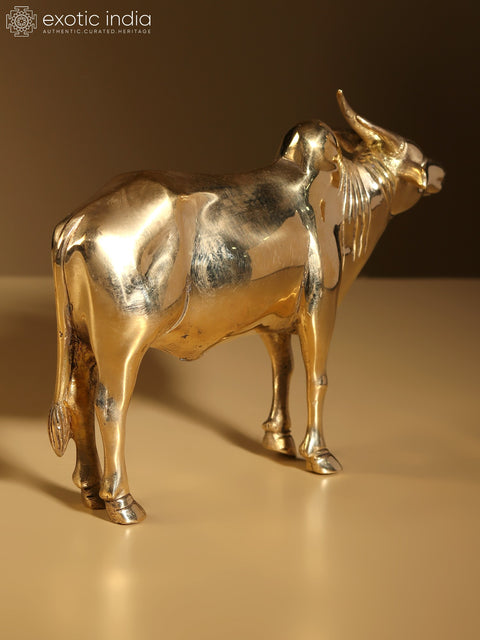 7" Brass Decorative Bull Statue | Home Decor