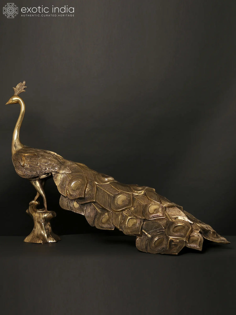 36" Large Brass Peacock Statue for Home Decor