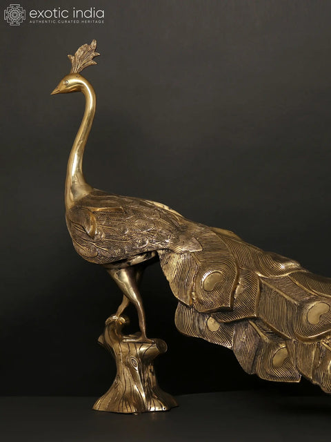 36" Large Peacock Figure in Brass