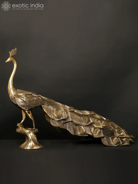 36" Large Peacock Figure in Brass