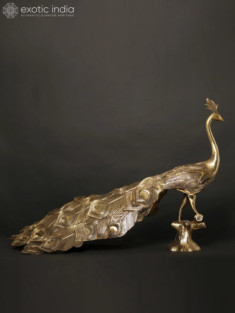 36" Large Peacock Figure in Brass