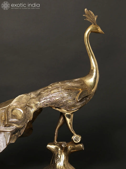 36" Large Peacock Figure in Brass
