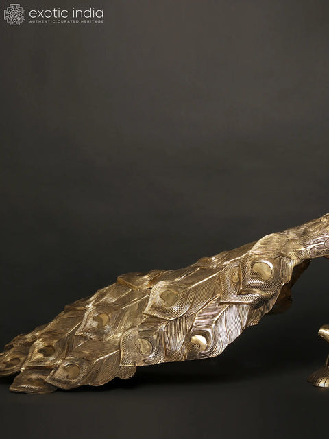 36" Large Peacock Figure in Brass