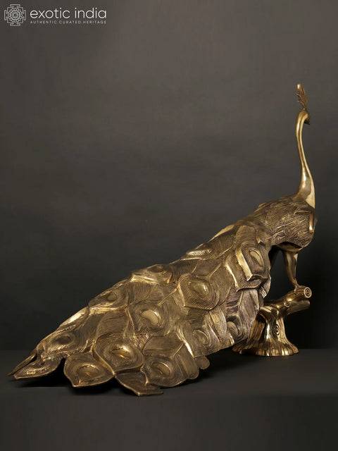 36" Large Peacock Figure in Brass