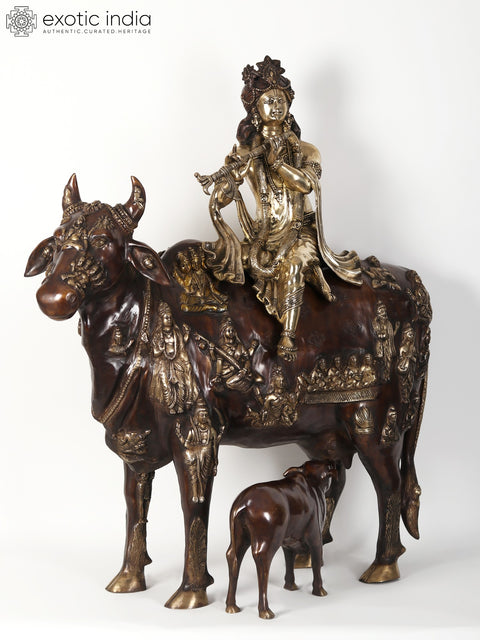42" Large Brass Fluting Krishna Idol Sitting on Cow