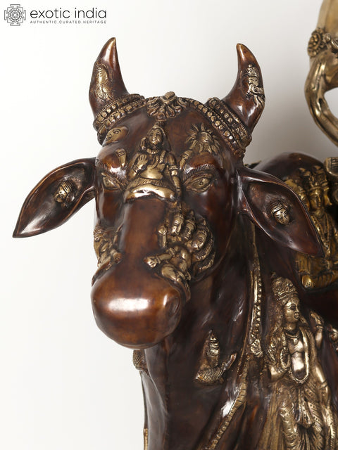 42" Large Brass Fluting Krishna Idol Sitting on Cow