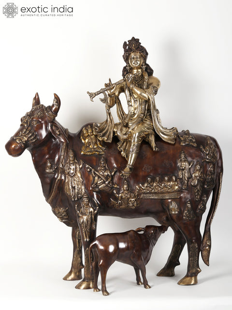 42" Large Brass Fluting Krishna Idol Sitting on Cow