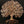 19" Wall Hanging Tree of Life | Brass with 24 Karat Rose Gold Plating