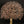 23" Wall Mounted Tree of Life | Brass with 24 Karat Rose Gold Plating
