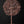 24" Tree of Life with Candle Holders | Brass with 24 Karat Rose Gold Plating