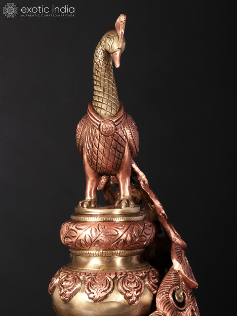 19" Beautiful Decorative Peacock | Brass with 24 Karat Rose Gold Plating