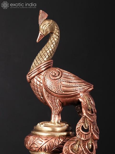19" Beautiful Decorative Peacock | Brass with 24 Karat Rose Gold Plating