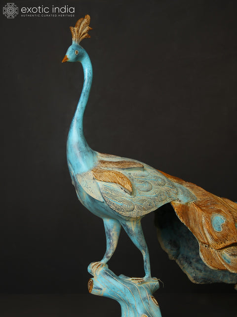 36" Large Beautiful Peacock Figurine in Brass