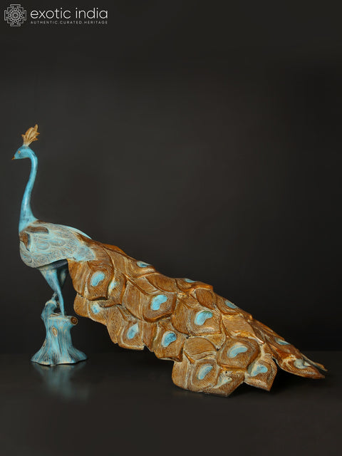 36" Large Beautiful Peacock Figurine in Brass