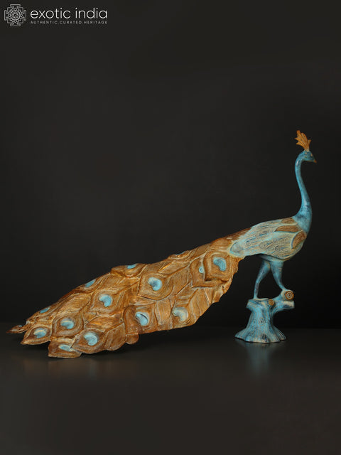 36" Large Beautiful Peacock Figurine in Brass