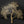 80" Super Large Wall Hanging Decorative Tree