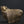 Small Auspicious Sheep with Prosperity Coins | Brass Statue