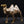 8" Stylized Brass Camel Figurine | Table Decor