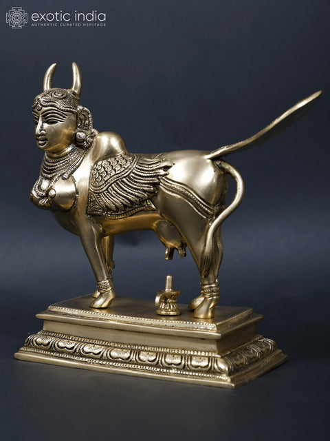 8" Brass Kamadhenu Cow Doing Abhisheka of Shiva Linga with Her Milk