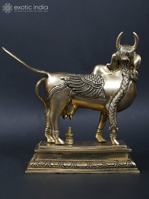 8" Brass Kamadhenu Cow Doing Abhisheka of Shiva Linga with Her Milk